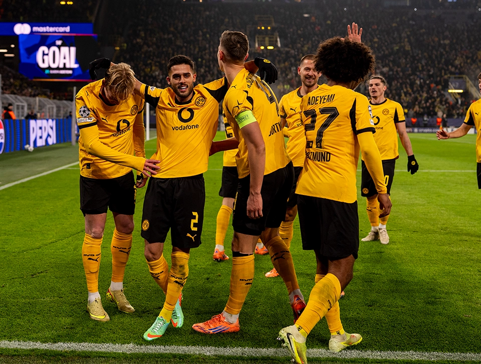 Several BVB players are celebrating together (photo)